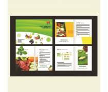 圖文平面設(shè)計(jì)熱賣(mài)促銷(xiāo) 專(zhuān)業(yè)制作，助力品牌騰飛