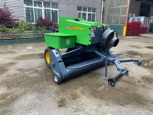 飼料成本占養殖70%？節本增效的實用策略